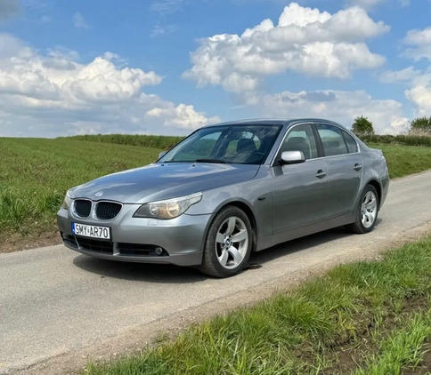 BMW Seria 5 cena 22000 przebieg: 123500, rok produkcji 2003 z Pruchnik małe 22